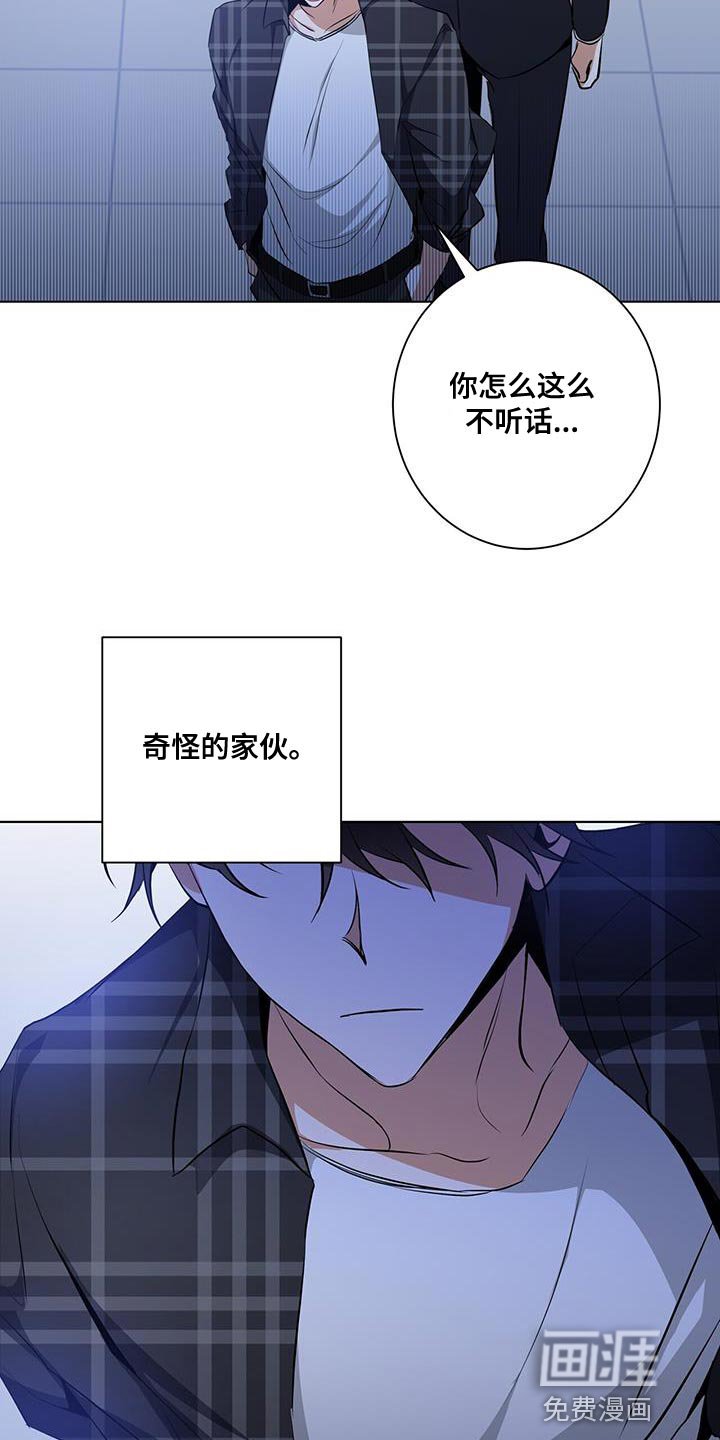 第36章：或许可以试试