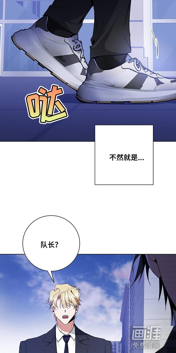 第36章：或许可以试试
