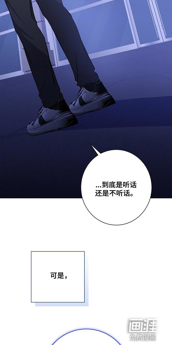 第36章：或许可以试试