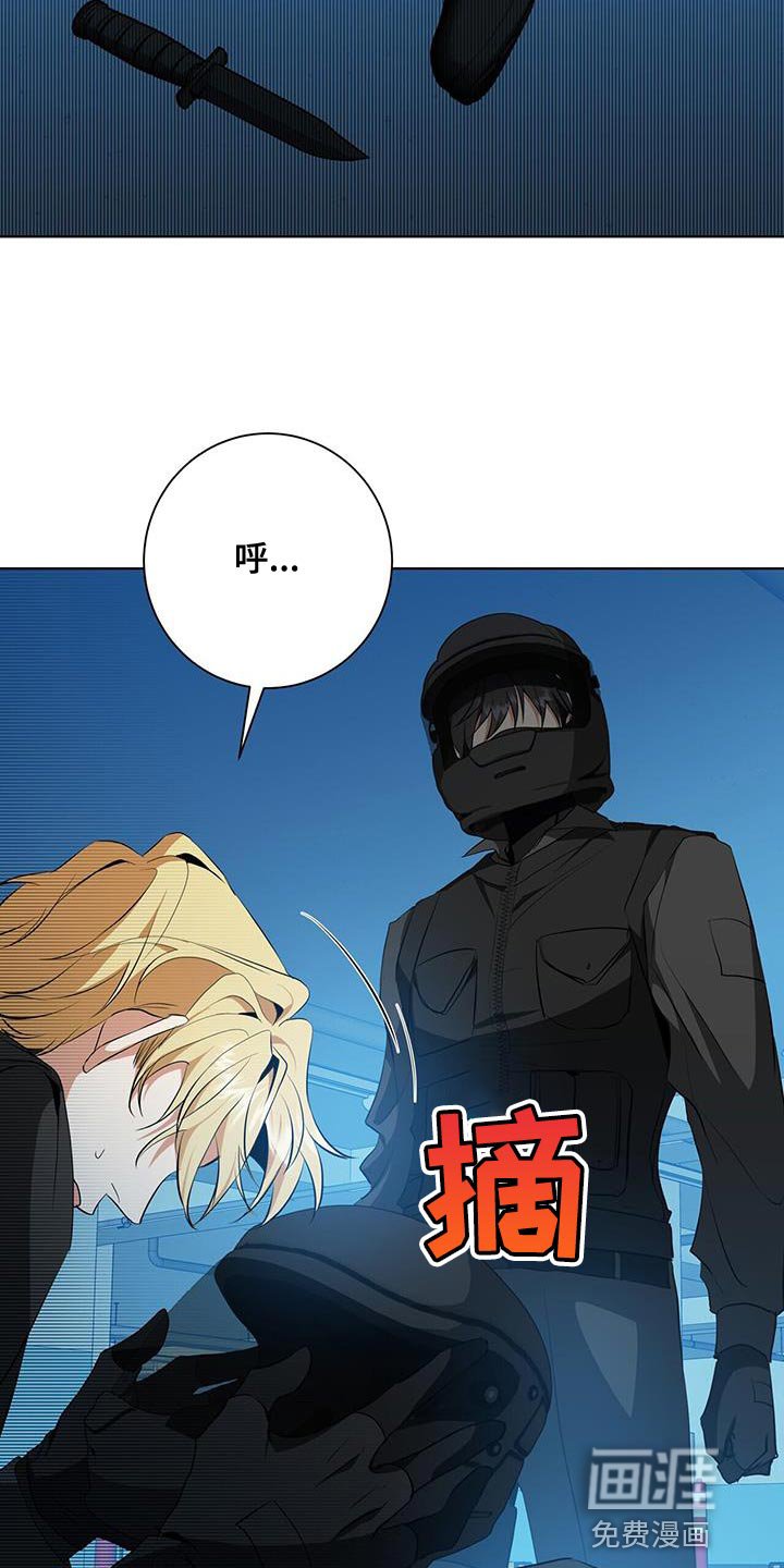 第37章：报酬