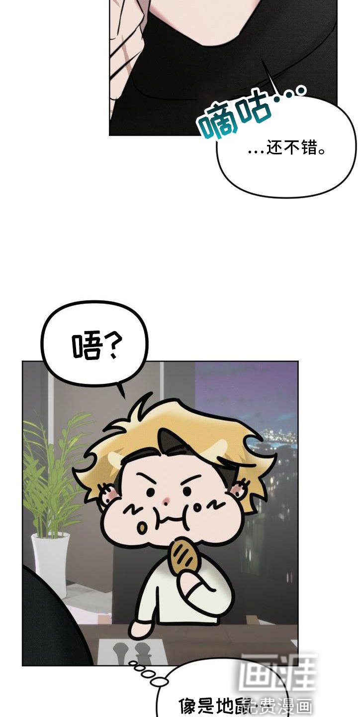 第13章：带走