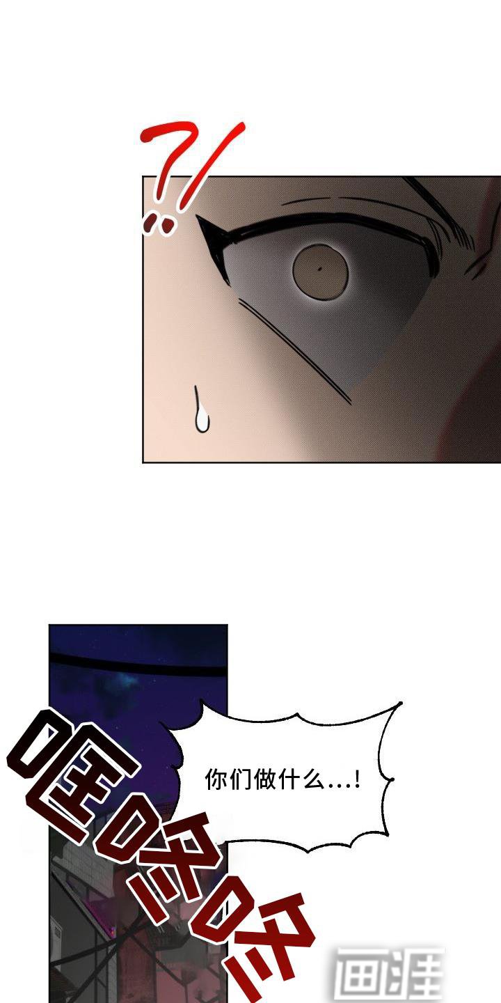第13章：带走