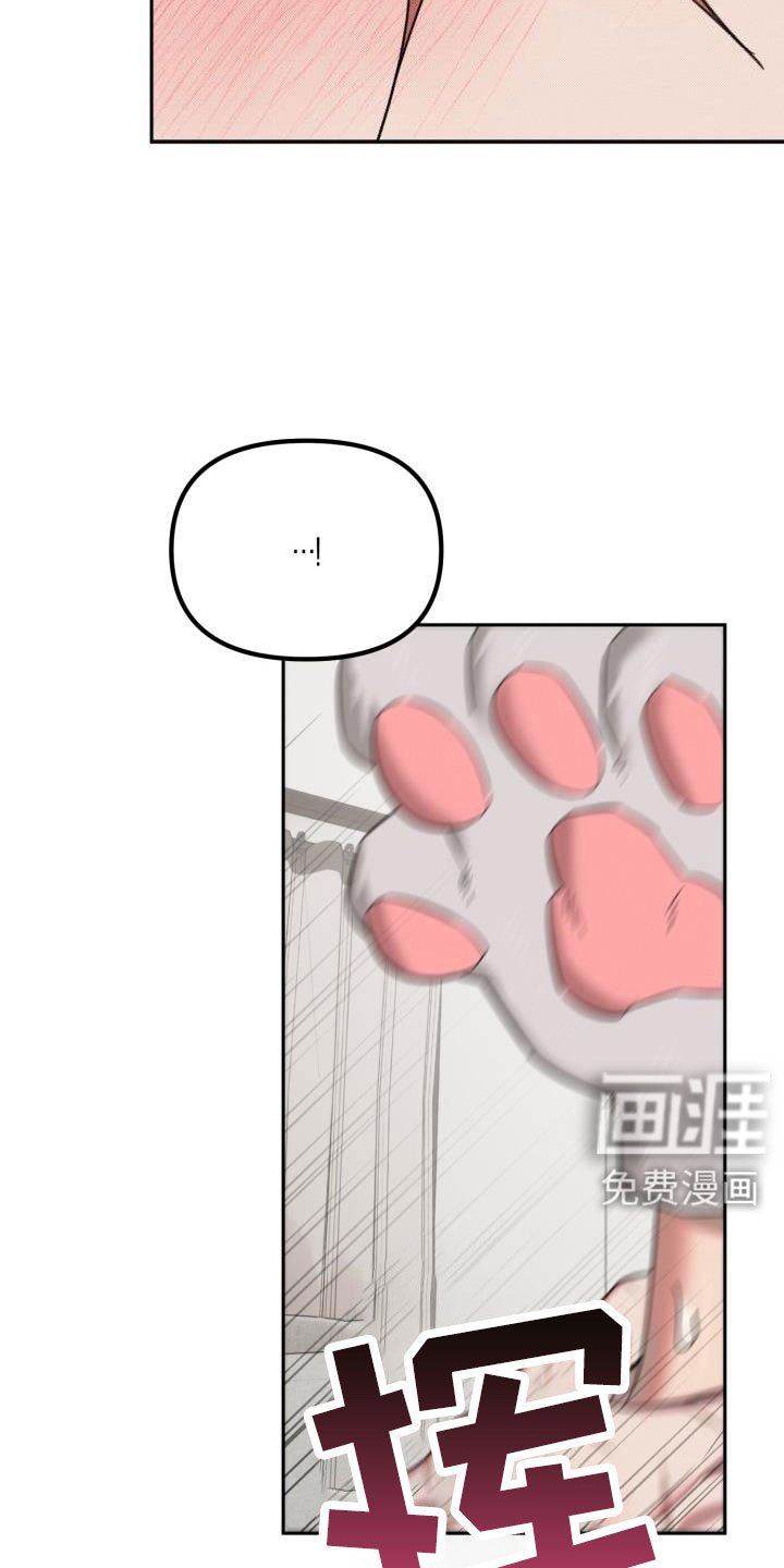 第27章：【番外完结】甜蜜幸福的生活