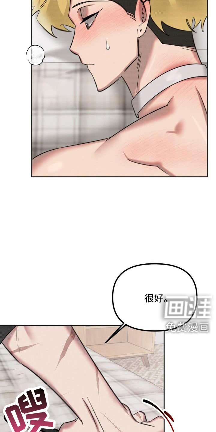 第27章：【番外完结】甜蜜幸福的生活