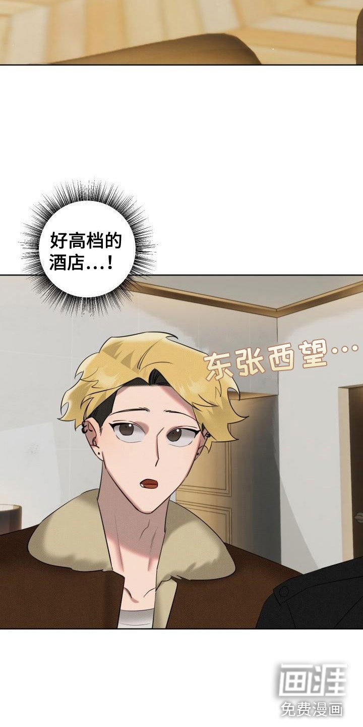 第5章：狗东西