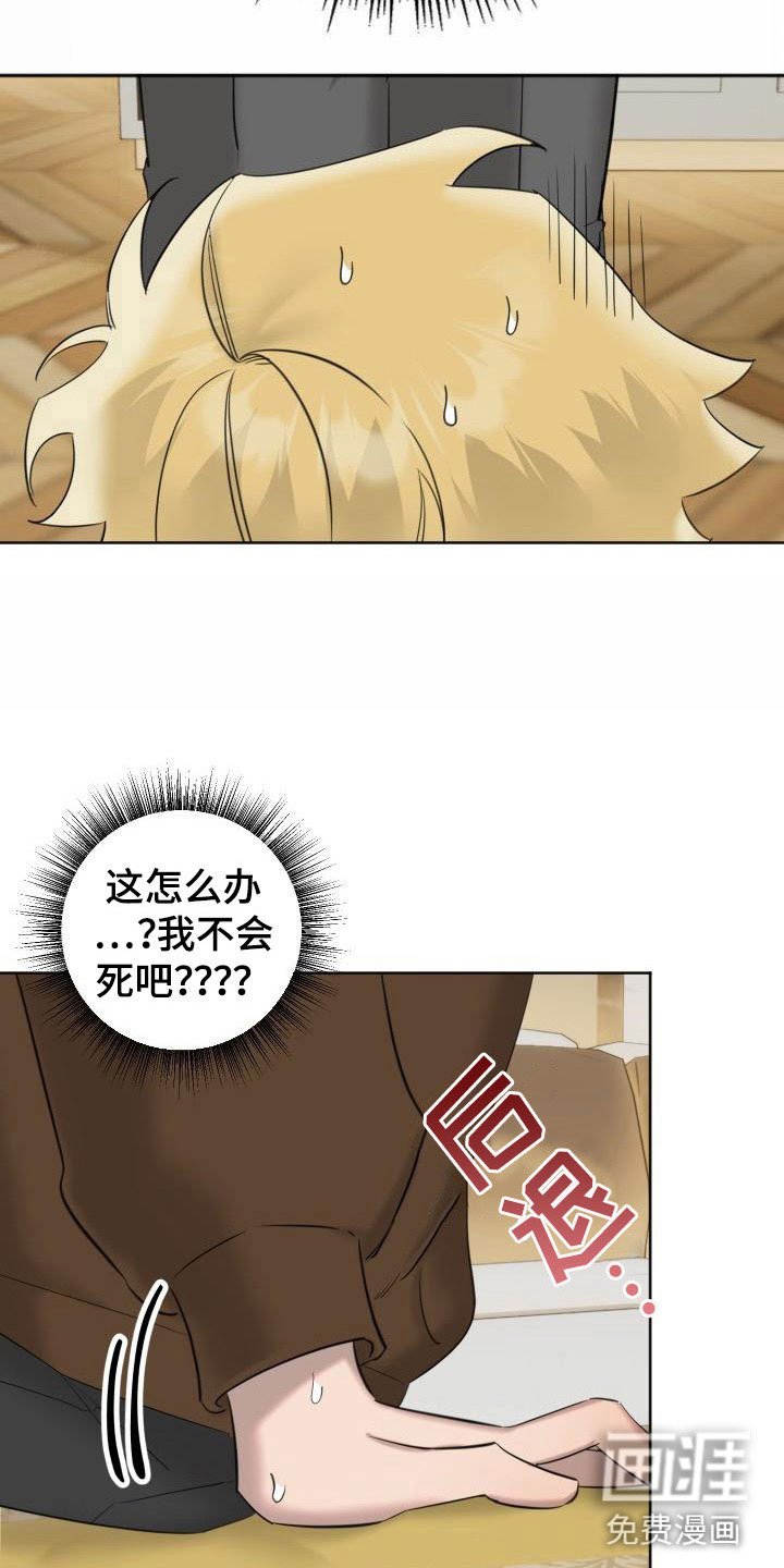 第5章：狗东西