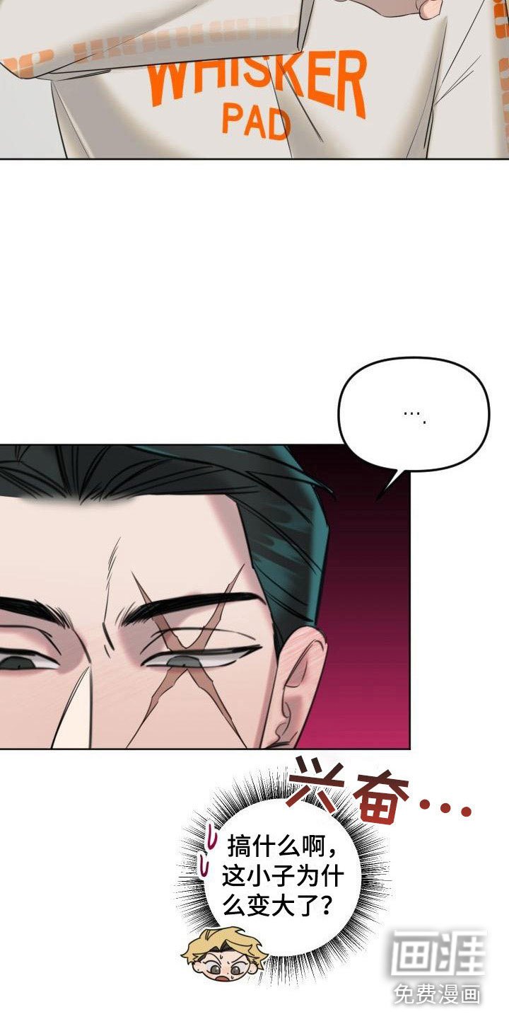 第5章：狗东西
