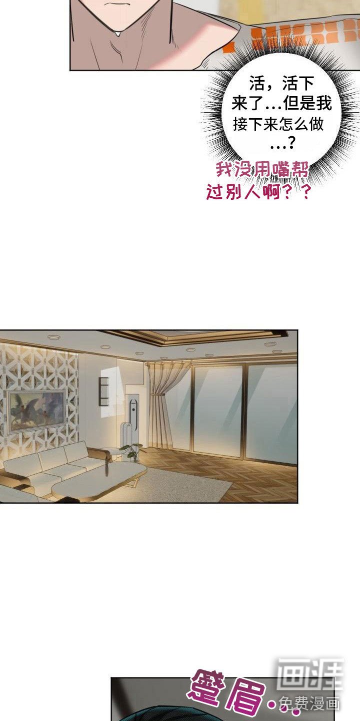 第5章：狗东西