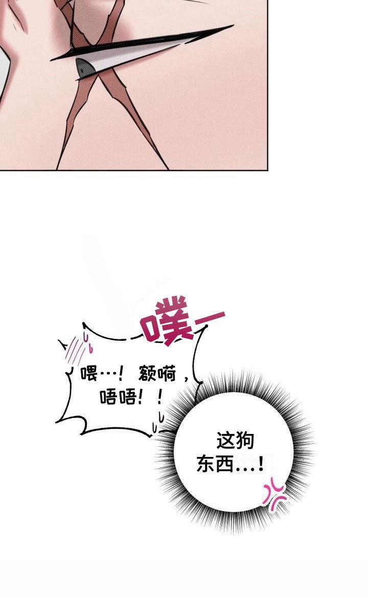 第5章：狗东西
