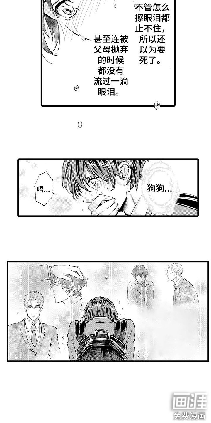 第11章：迷茫
