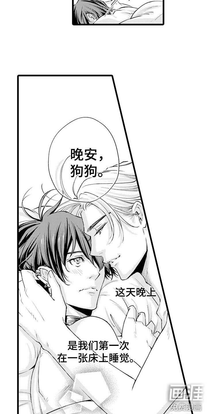 第14章：不止喜欢
