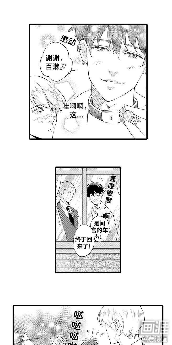 第14章：不止喜欢