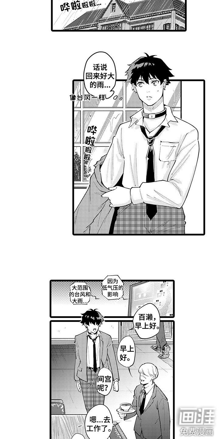 第17章：台风