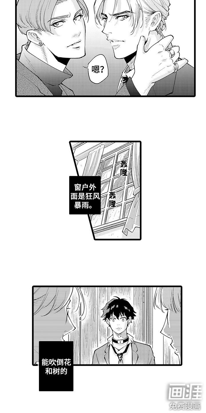 第17章：台风