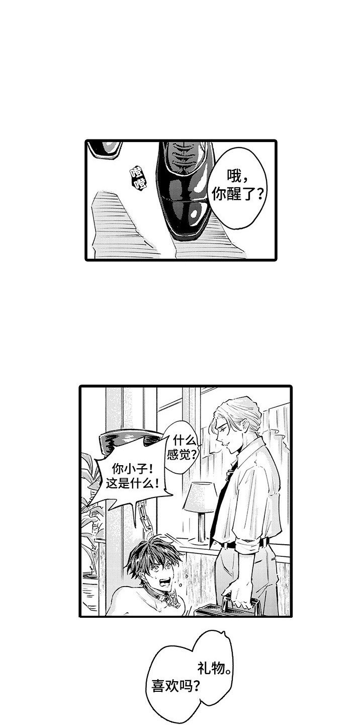 第2章：请多指教