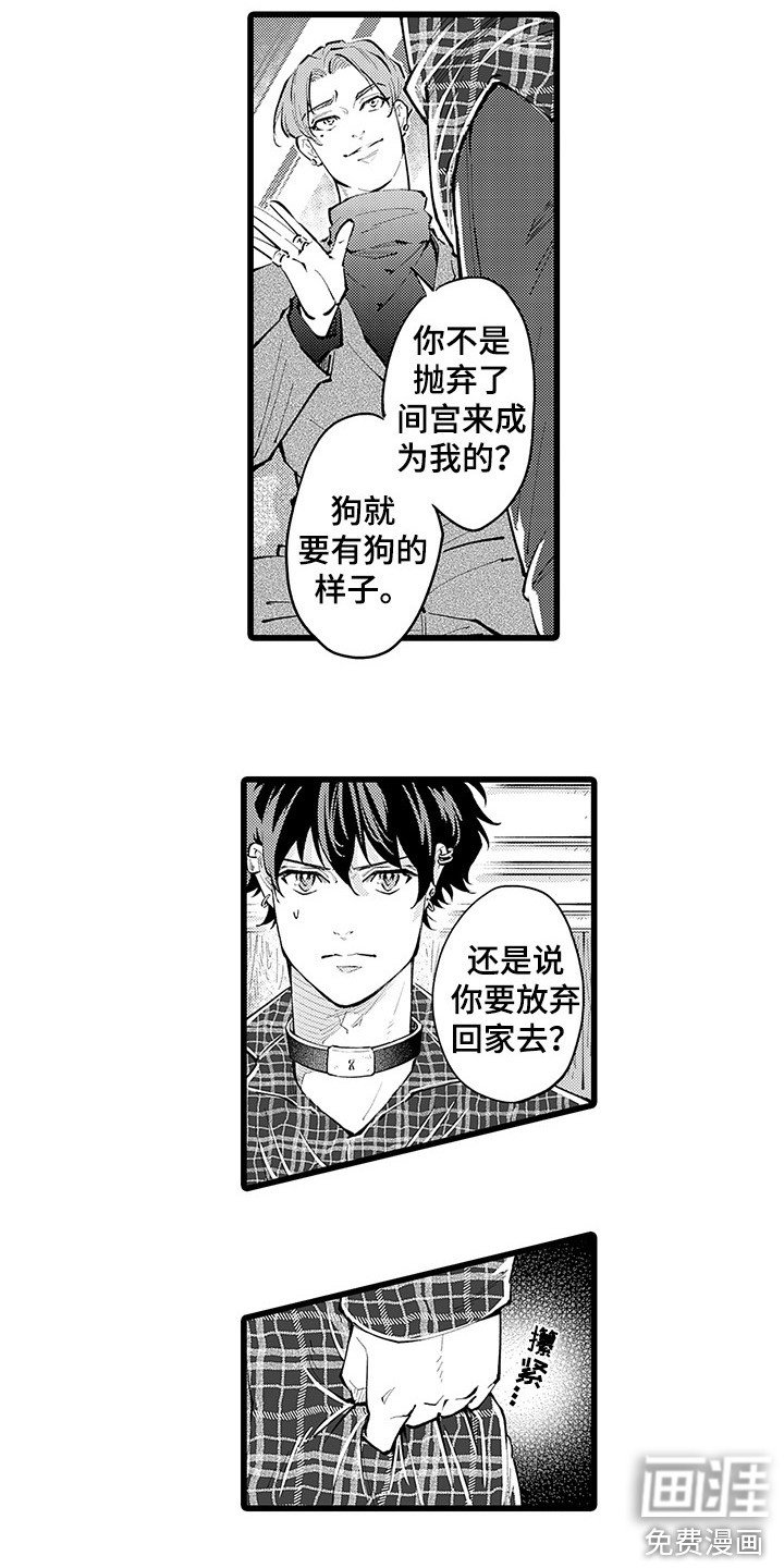 第22章：轮到我了