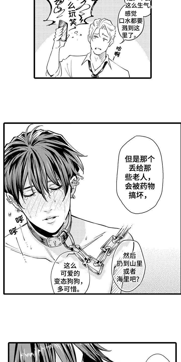 第3章：感兴趣