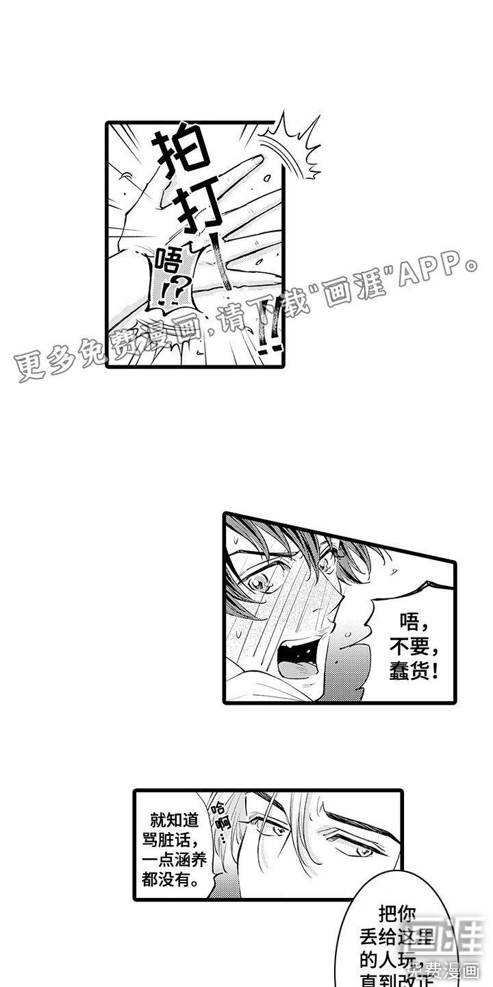 第5章：礼仪房