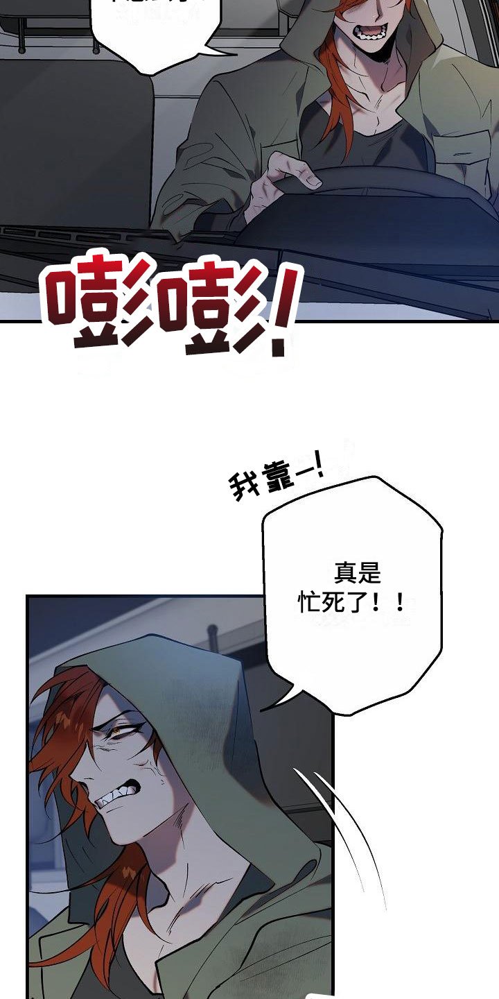 第1章：就是这了