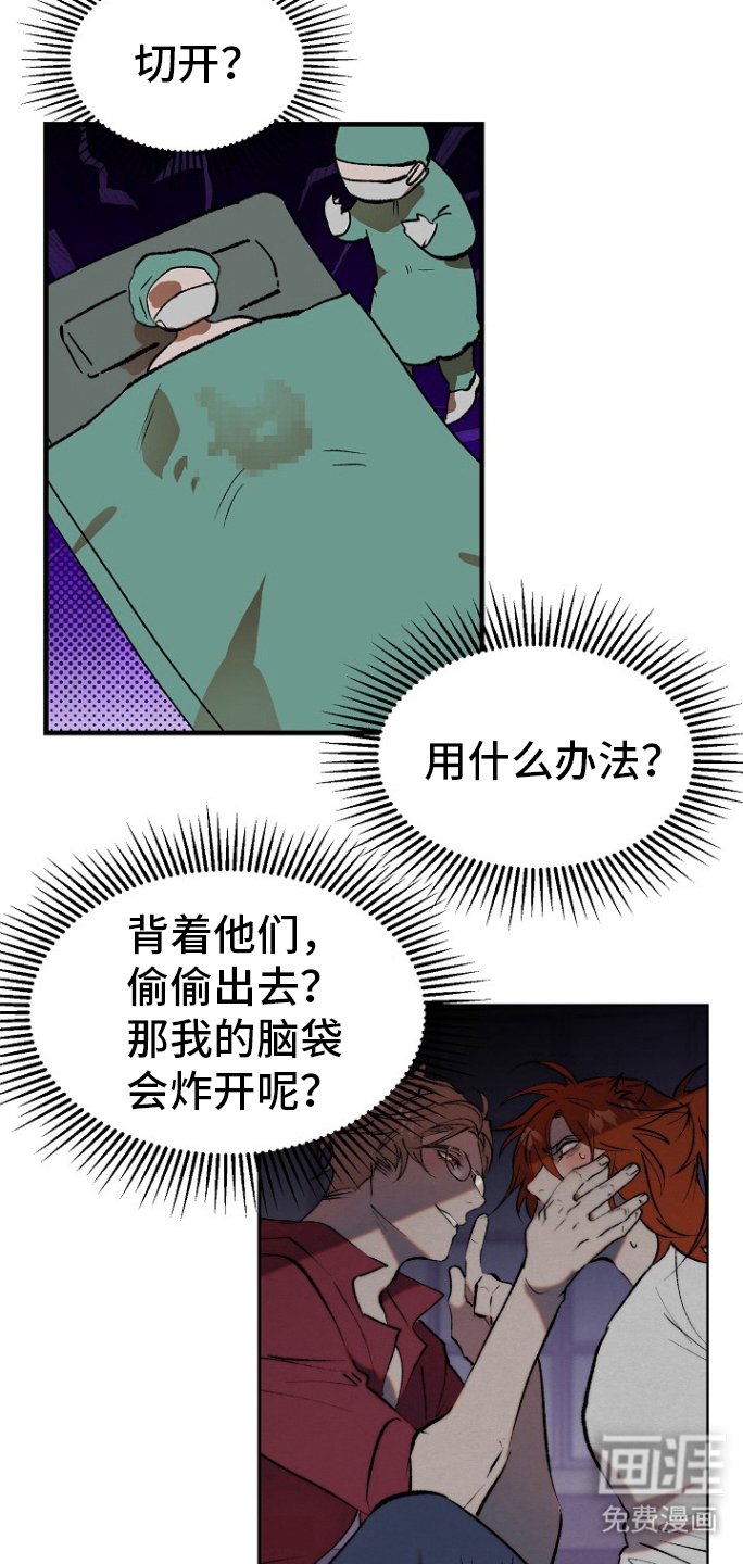 第15章：【番外】肚子有蛋