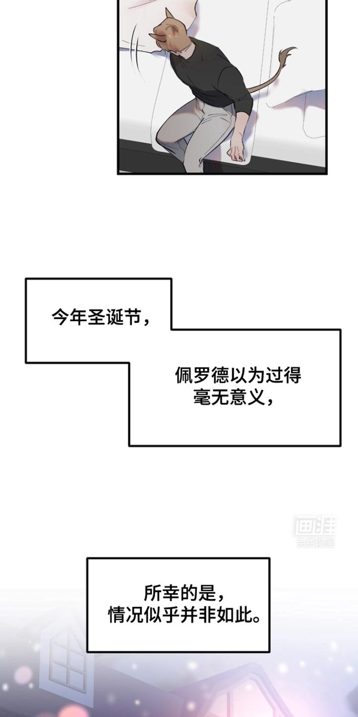 第17章：【番外】并非如此