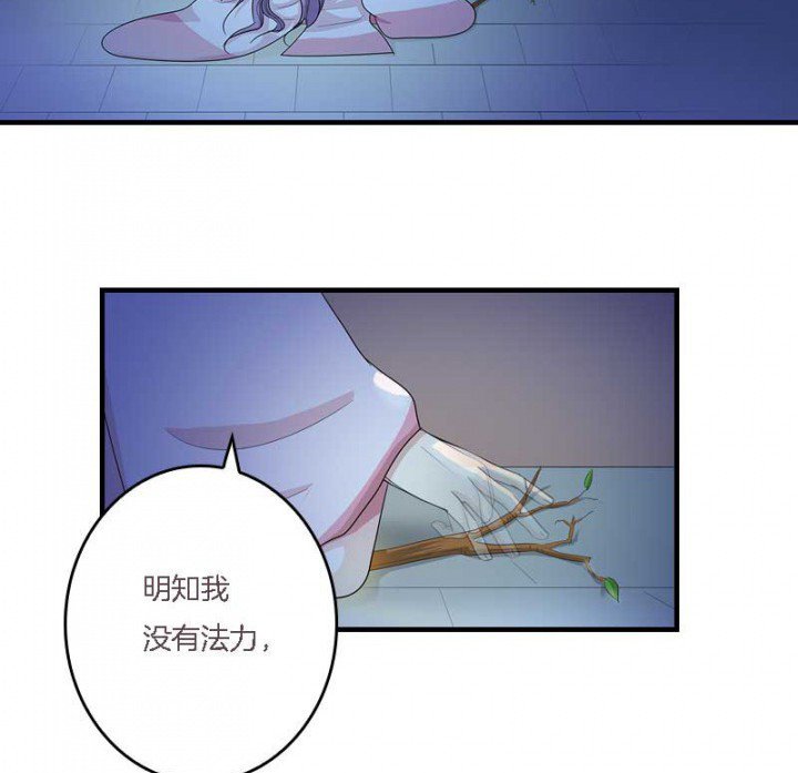 第11章：虚假姐妹情