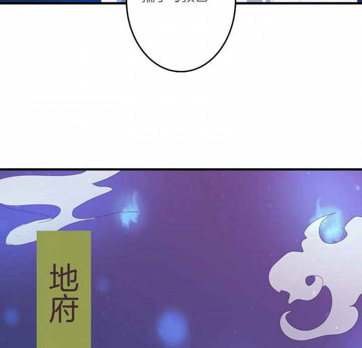 第13章：一式两份