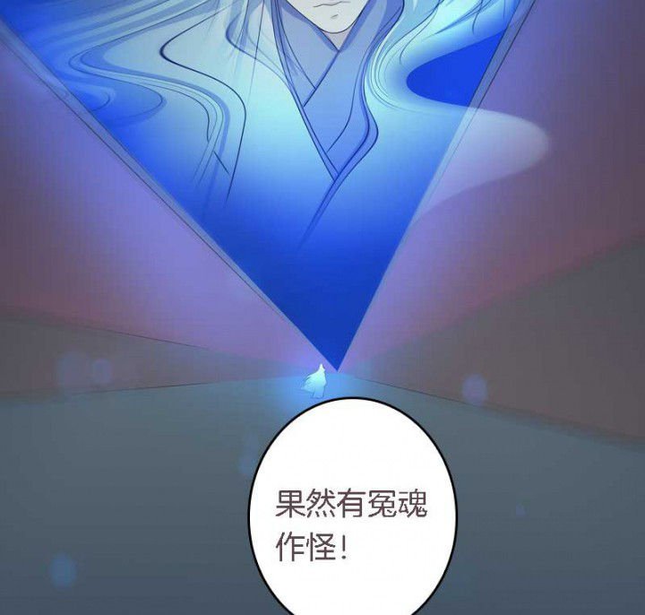 第31章：听说你要收了我？