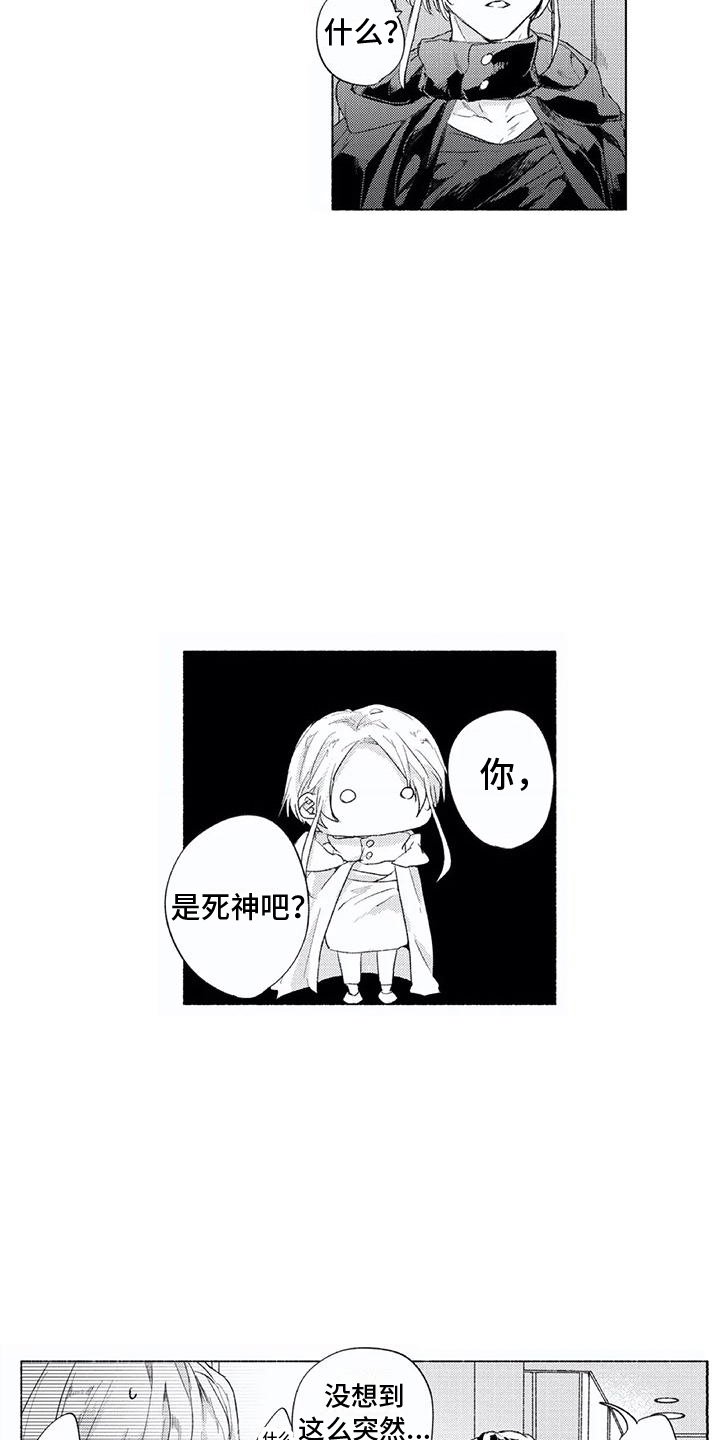 第3章：丘比特