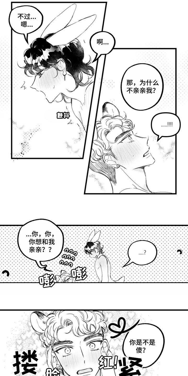 第12章：误解