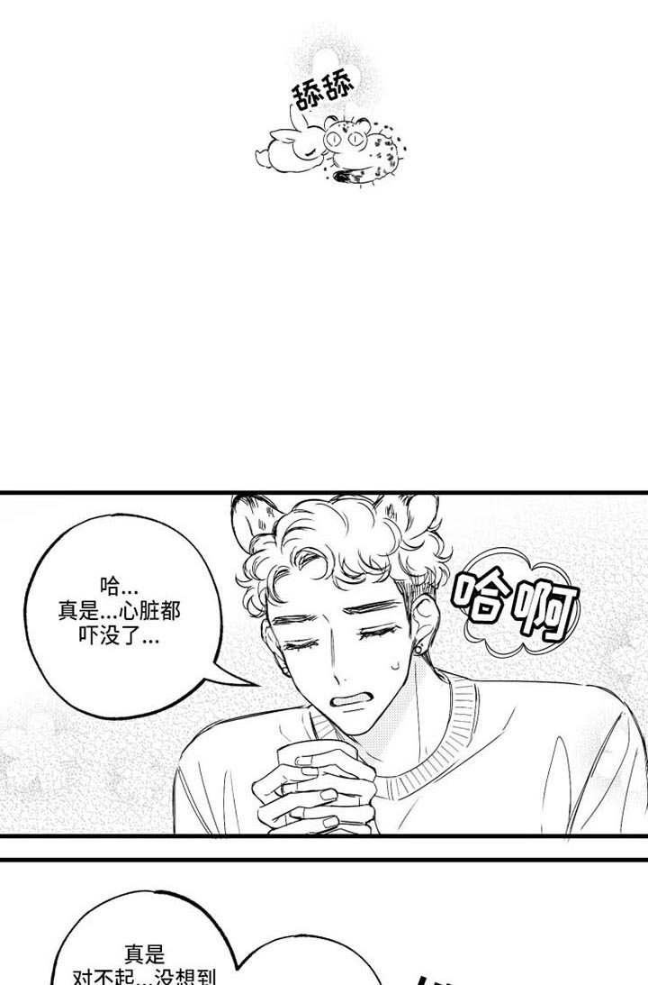 第16章：桌游