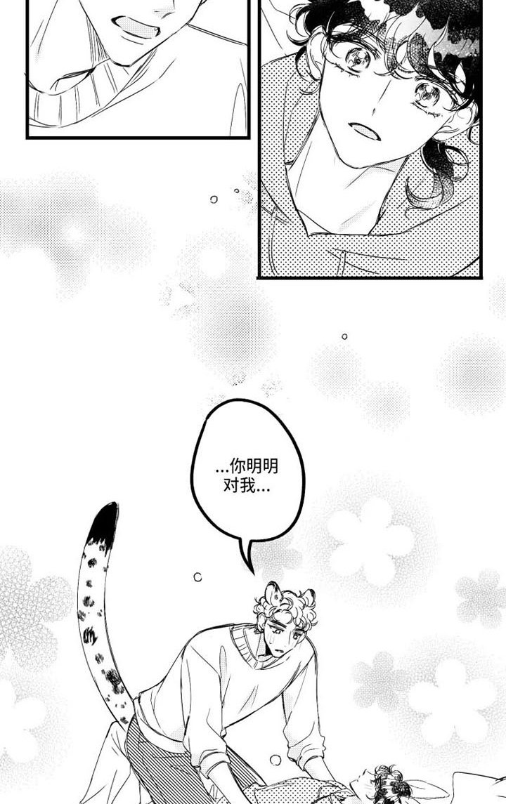 第16章：桌游