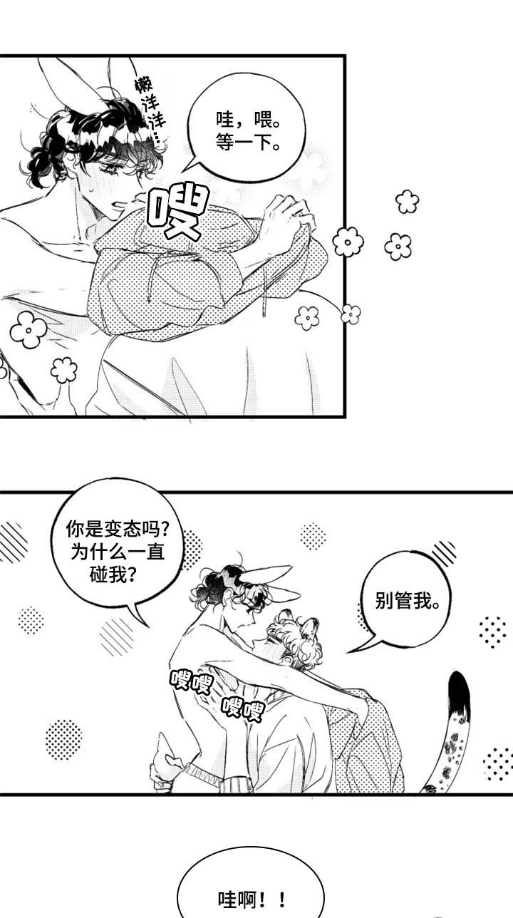 第19章：回答我