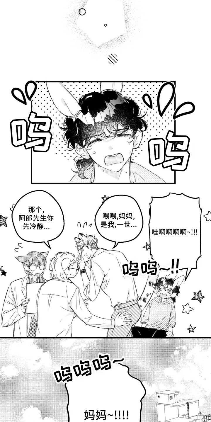 第33章：找妈妈