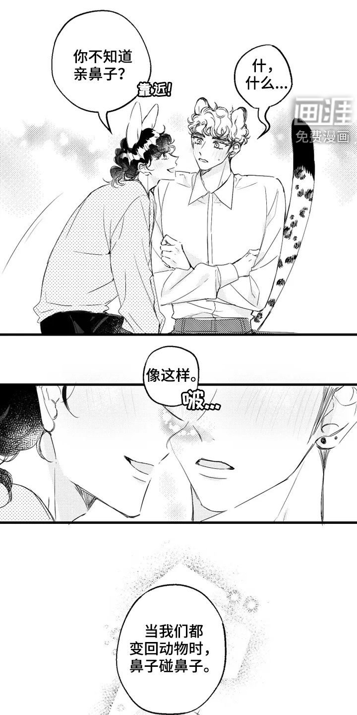 第43章：原型