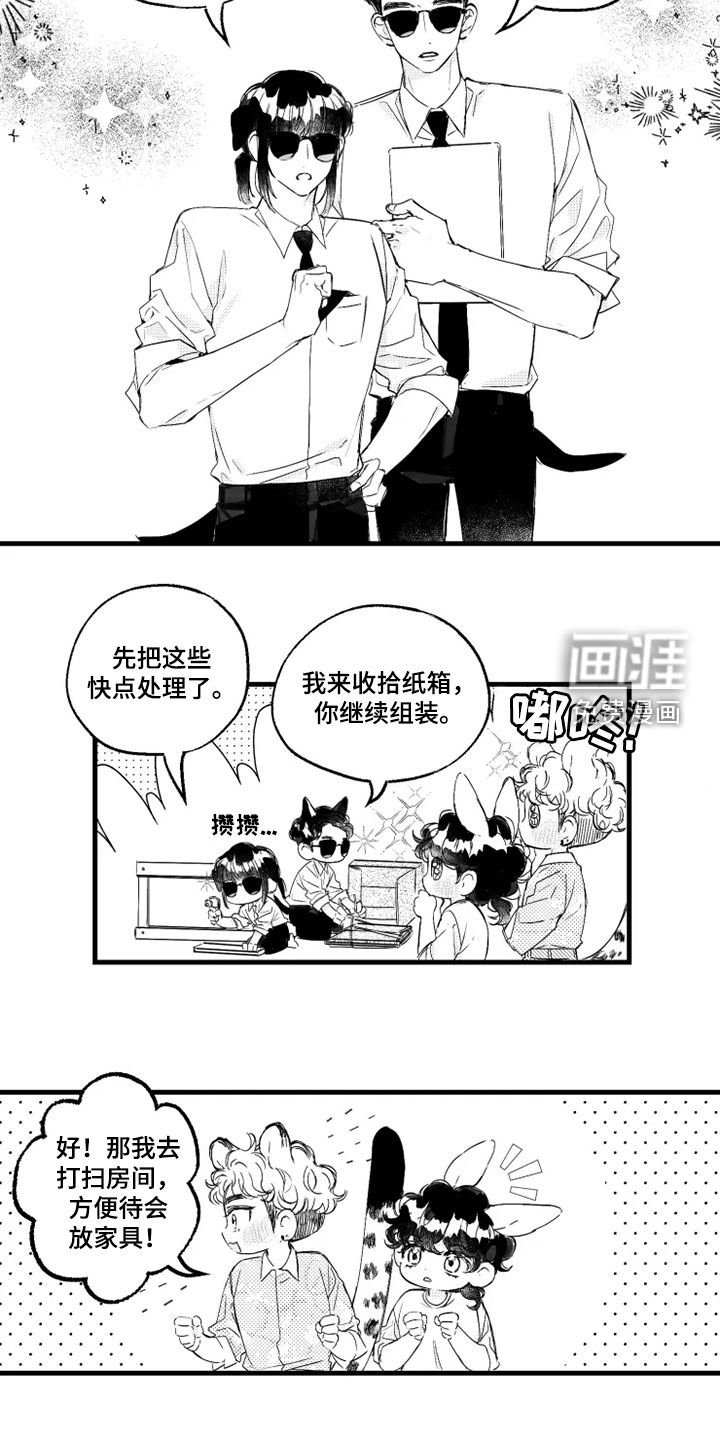 第44章：福利
