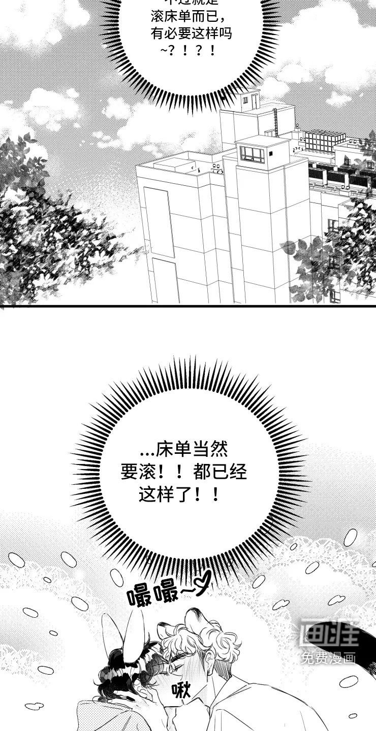 第46章：选修课