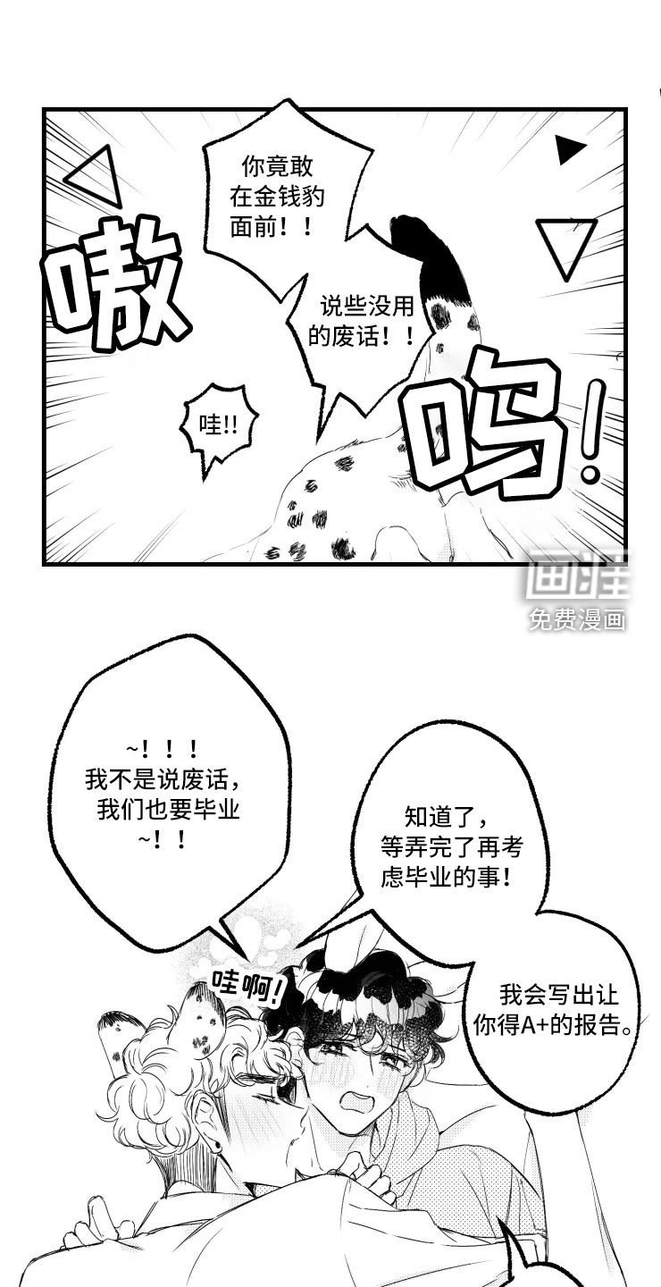 第46章：选修课