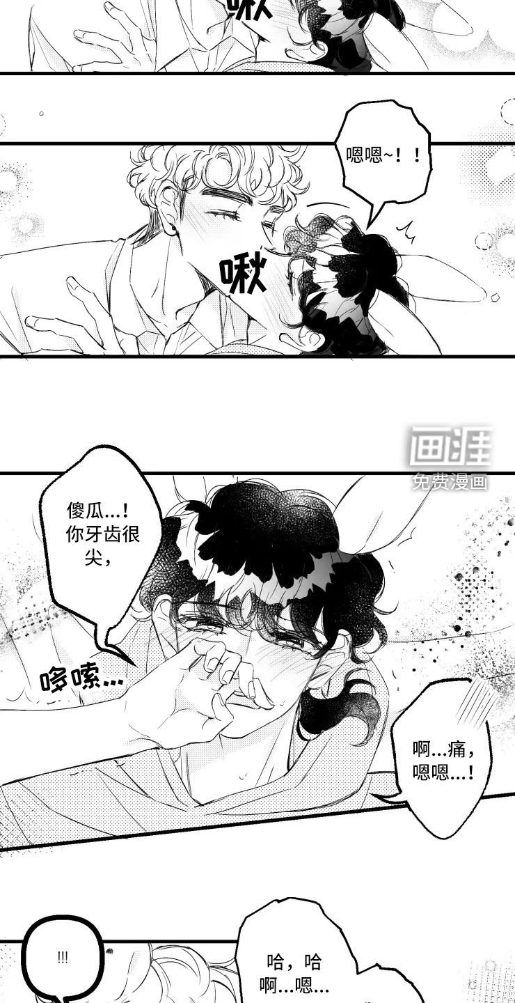 第46章：选修课