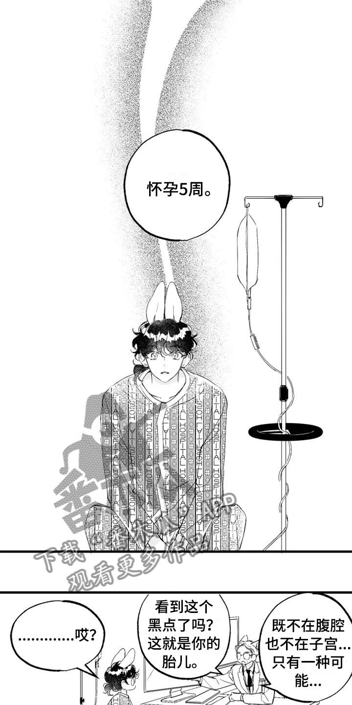 第5章：奇迹