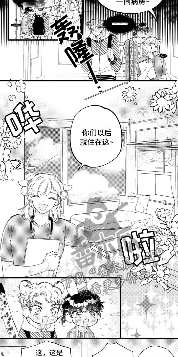 第5章：奇迹