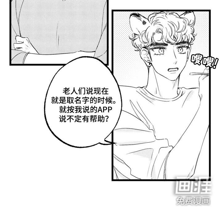 第50章：取名