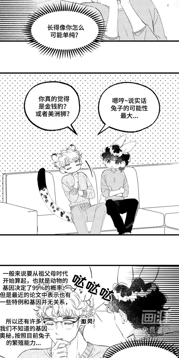 第52章：赌局