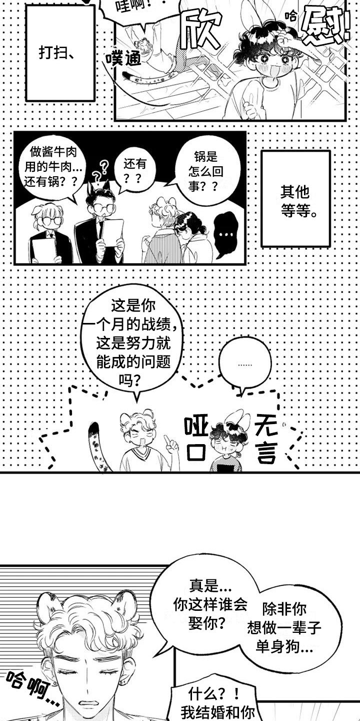 第7章：家务
