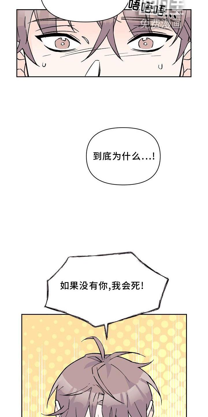 第12章：表白
