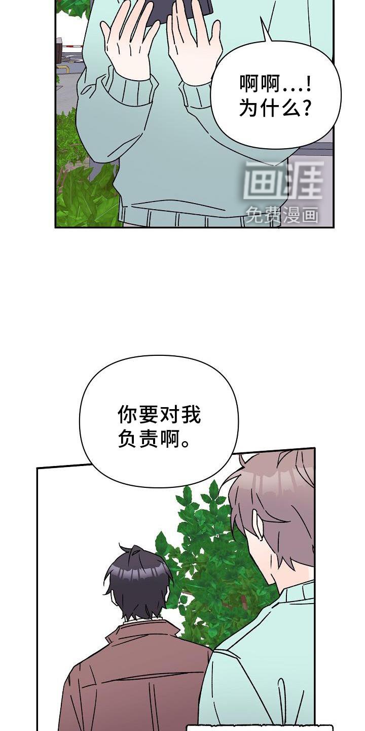 第16章：占有