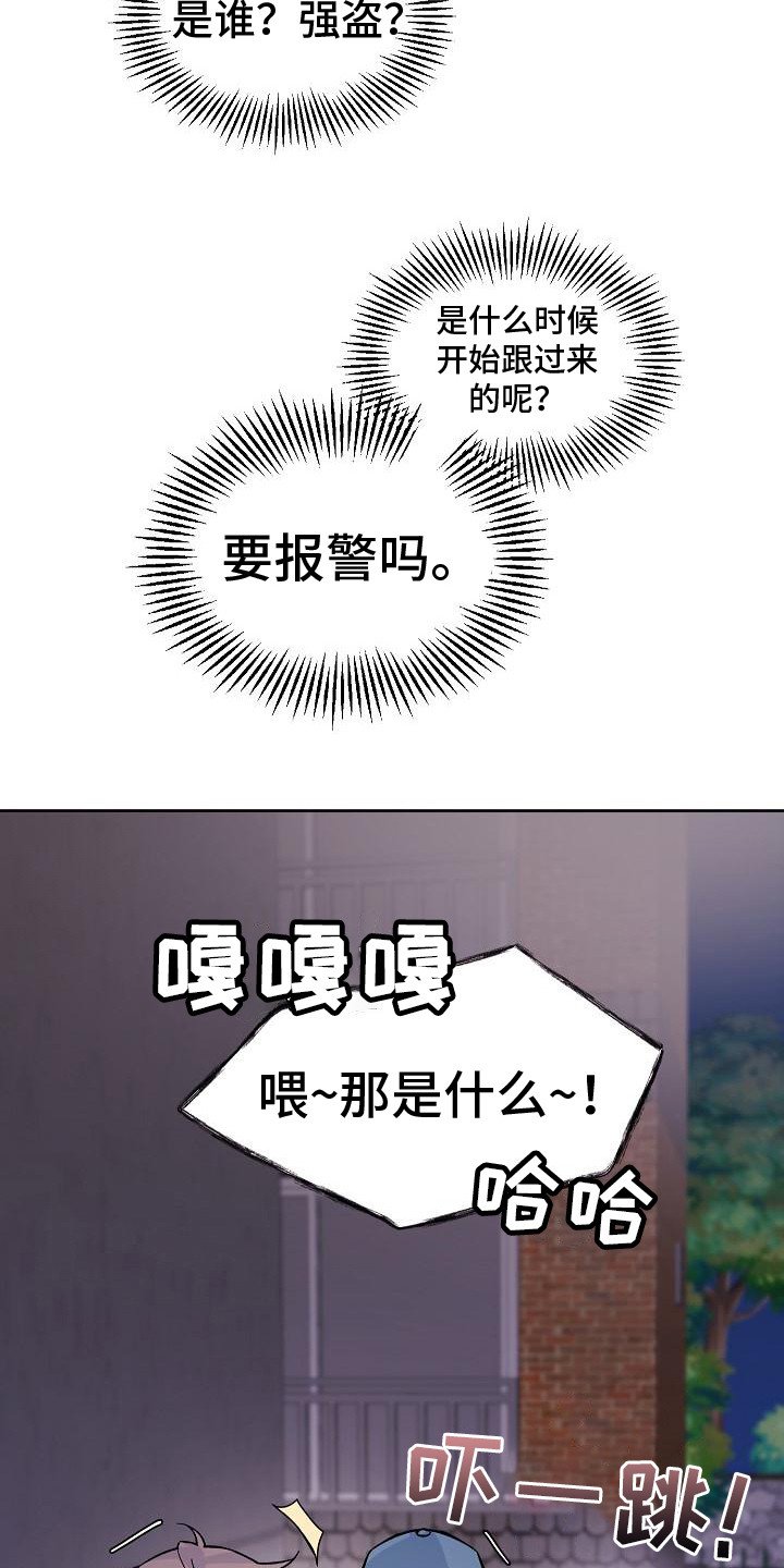第3章：被跟踪