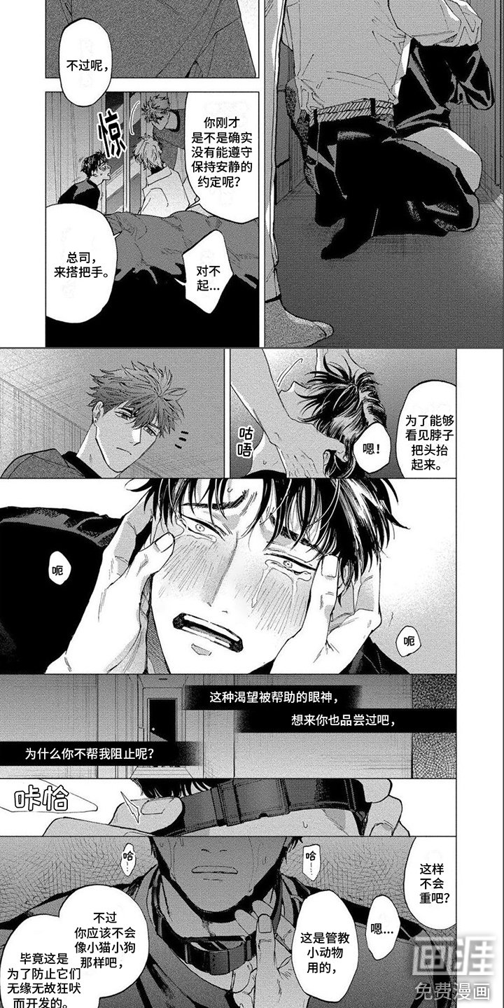 第13章：渴望
