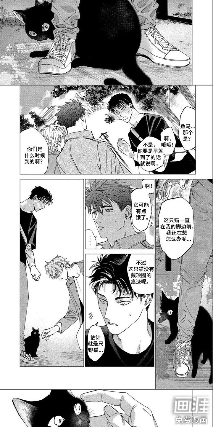 第22章：野猫