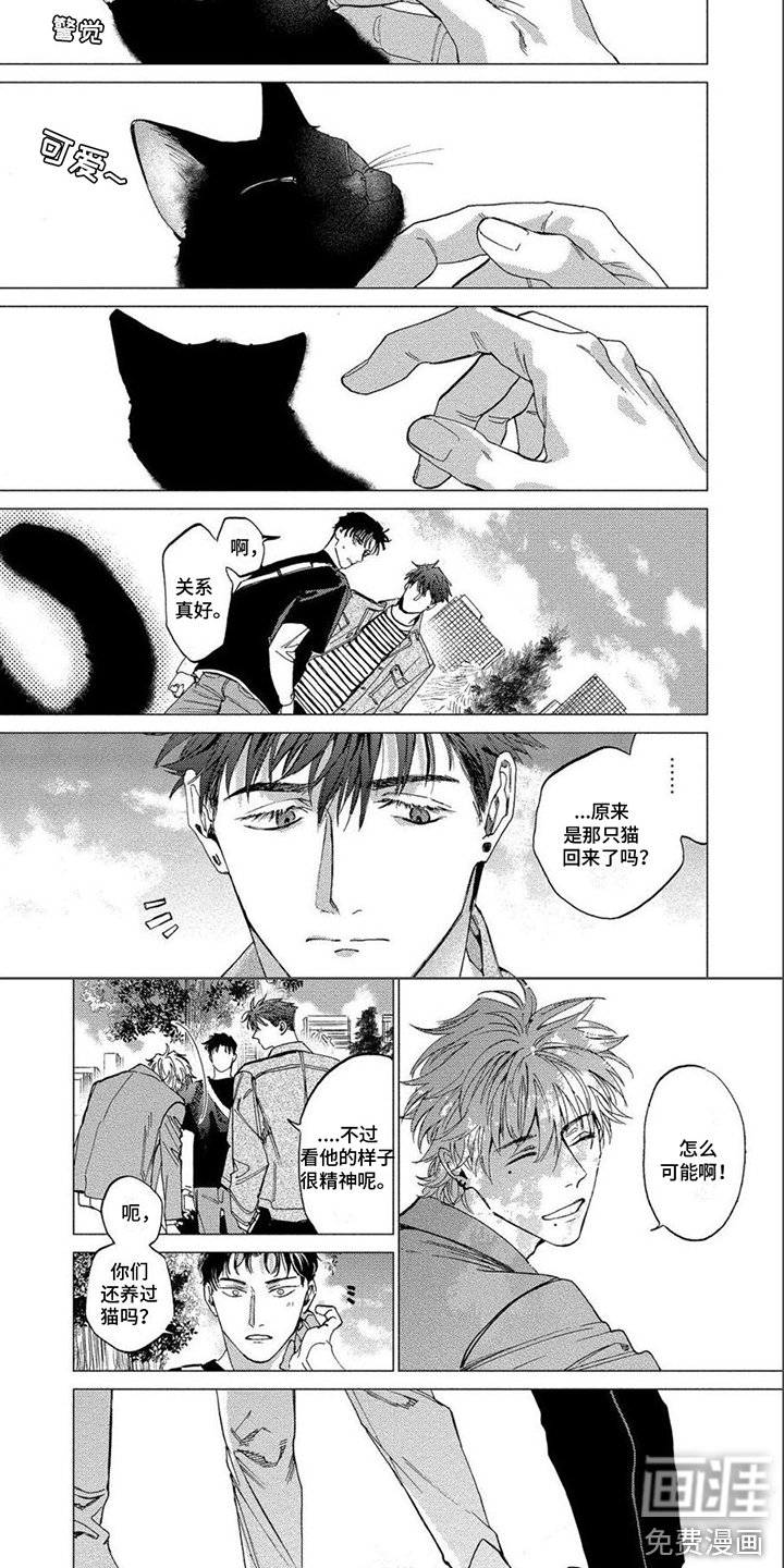 第22章：野猫